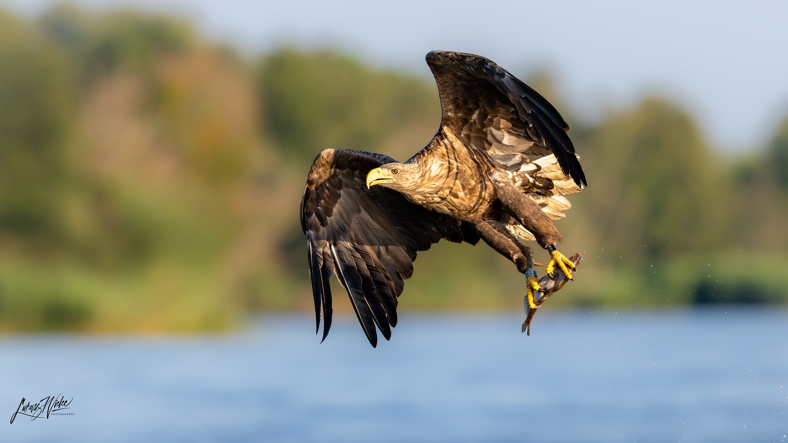 The Prize — photograph by Łukasz Wielec
